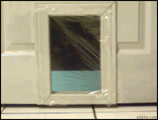 Cat_invisible_pet_door
