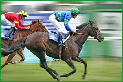 horse-racing-fixture